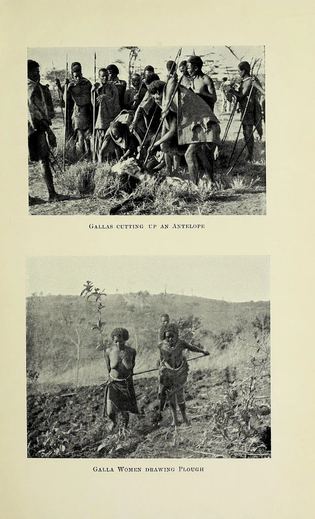 An illustration from A picnic party in wildest Africa : being a sketch of a winter's trip to some of the unknown waters of the upper Nile, 1907, leaf 143