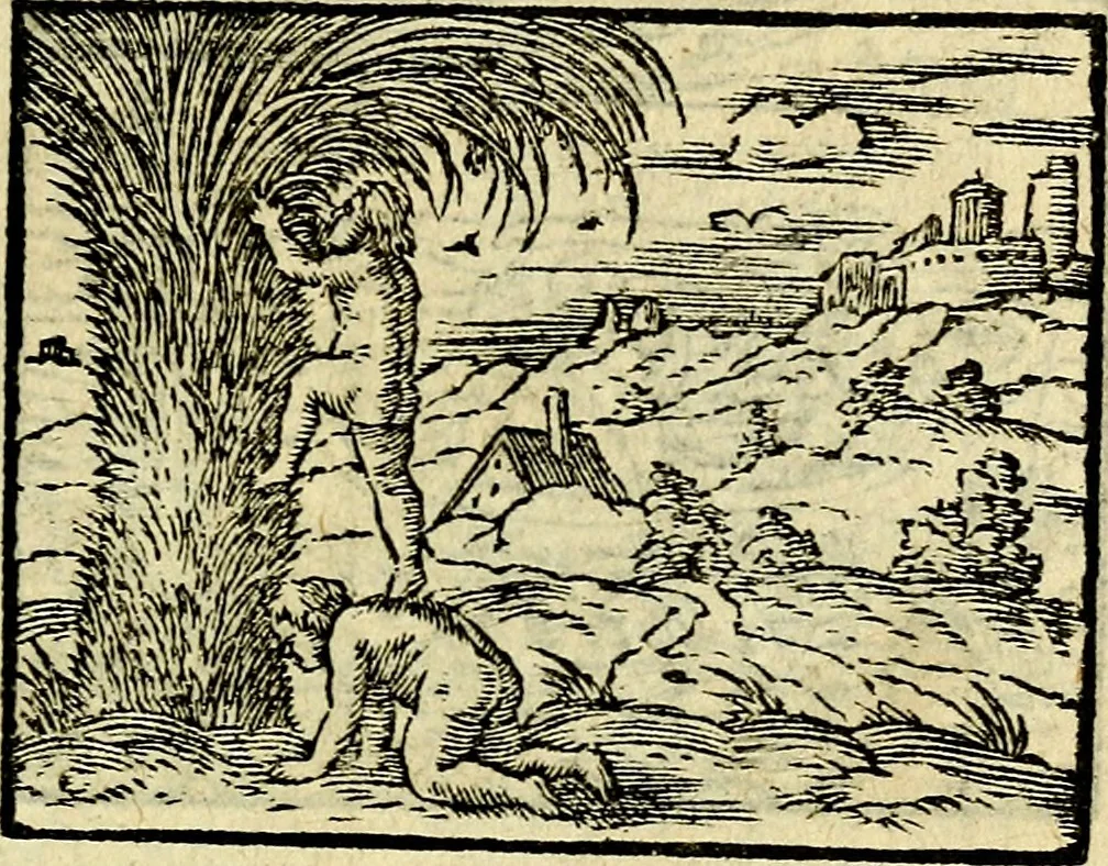 An illustration from Picta poesis : ut pictura poesis erit, 1552, leaf 104