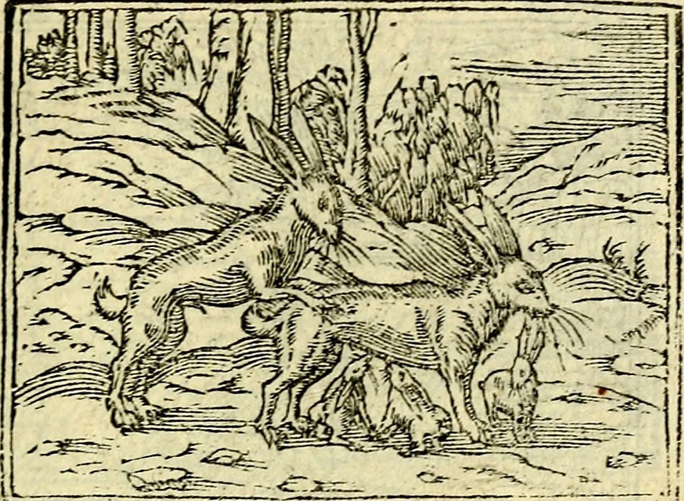 An illustration from Picta poesis : ut pictura poesis erit, 1552, leaf 108