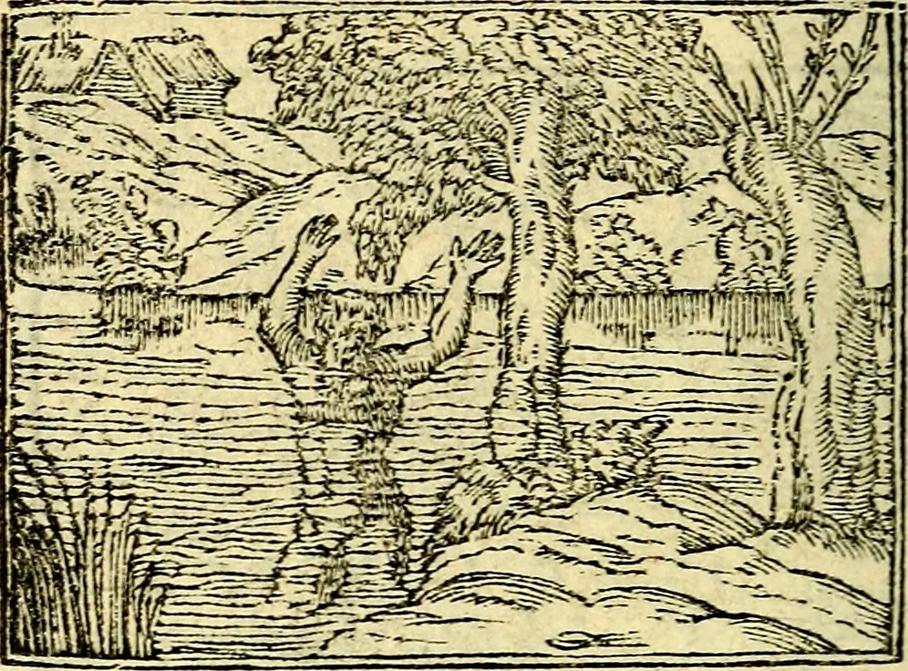 An illustration from Picta poesis : ut pictura poesis erit, 1552, leaf 117