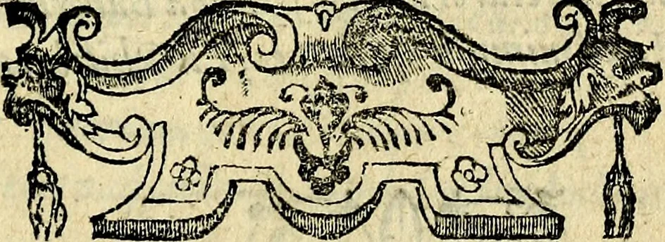 An illustration from Picta poesis : ut pictura poesis erit, 1552, leaf 16