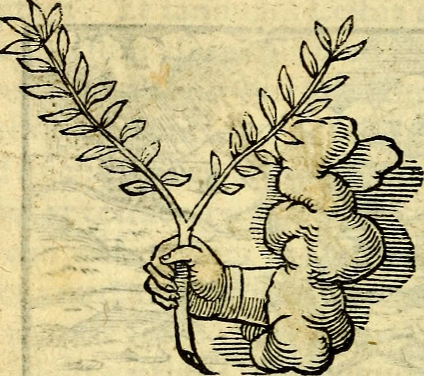 An illustration from Picta poesis : ut pictura poesis erit, 1552, leaf 17