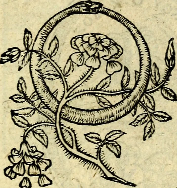 An illustration from Picta poesis : ut pictura poesis erit, 1552, leaf 18