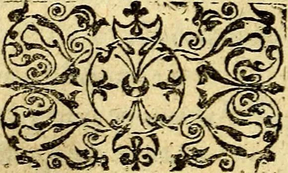 An illustration from Picta poesis : ut pictura poesis erit, 1552, leaf 21