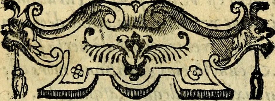 An illustration from Picta poesis : ut pictura poesis erit, 1552, leaf 30