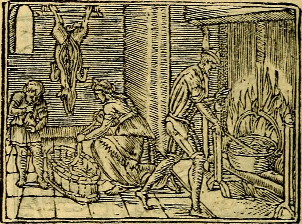An illustration from Picta poesis : ut pictura poesis erit, 1552, leaf 31