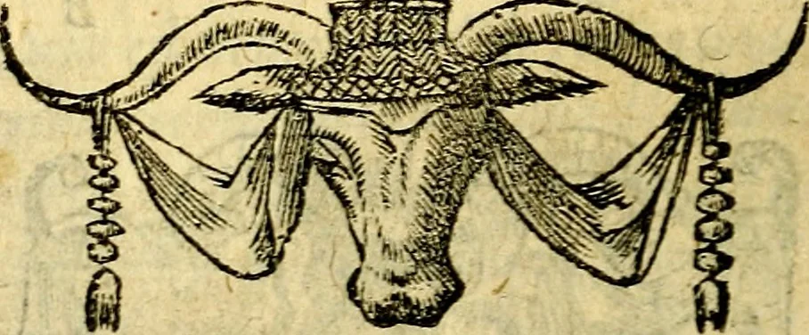 An illustration from Picta poesis : ut pictura poesis erit, 1552, leaf 33