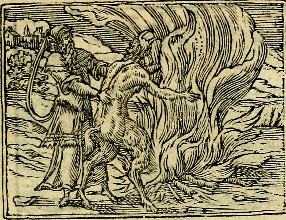 An illustration from Picta poesis : ut pictura poesis erit, 1552, leaf 36