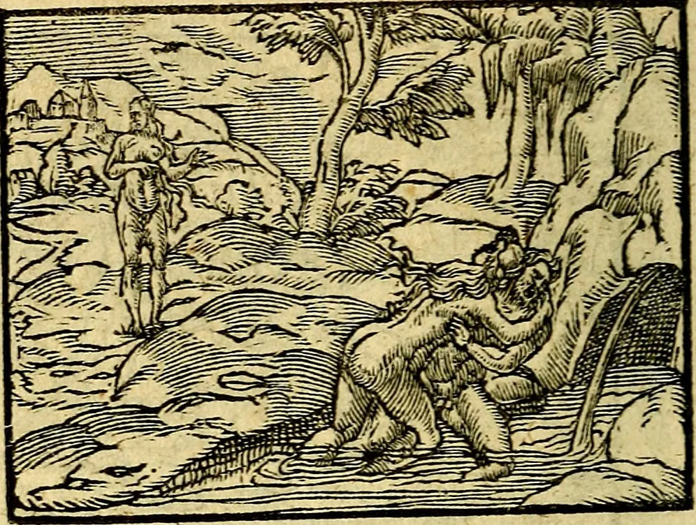 An illustration from Picta poesis : ut pictura poesis erit, 1552, leaf 41