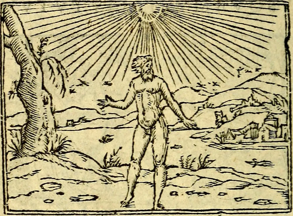 An illustration from Picta poesis : ut pictura poesis erit, 1552, leaf 47