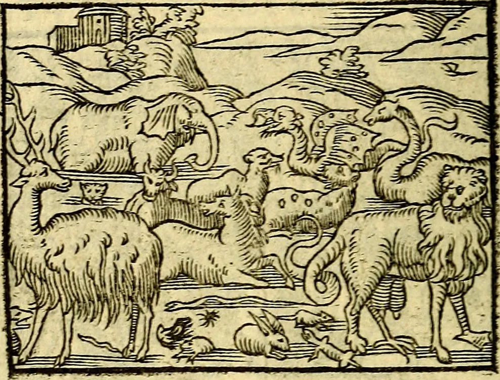 An illustration from Picta poesis : ut pictura poesis erit, 1552, leaf 49