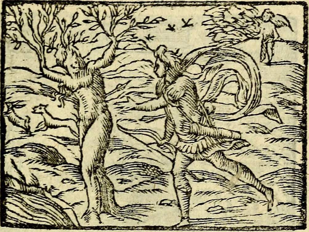 An illustration from Picta poesis : ut pictura poesis erit, 1552, leaf 56