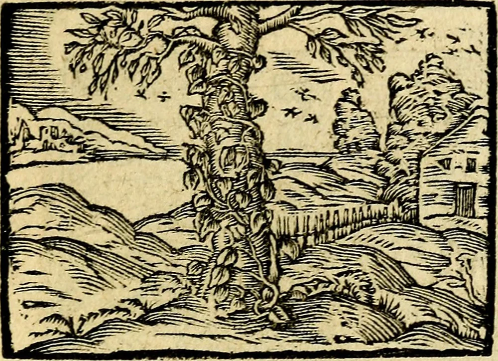 An illustration from Picta poesis : ut pictura poesis erit, 1552, leaf 62
