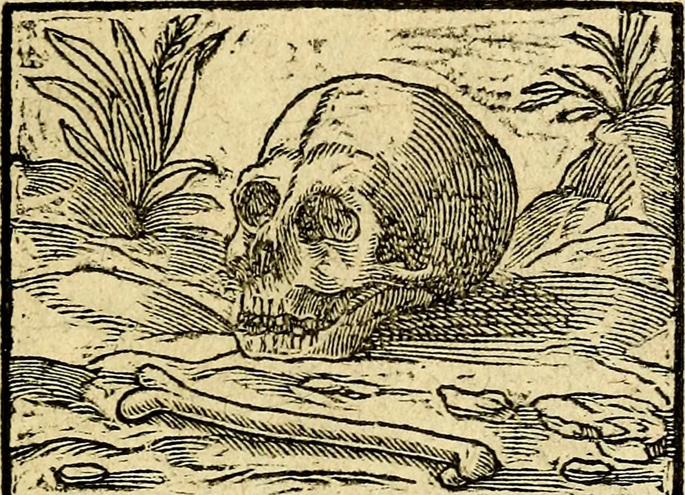 An illustration from Picta poesis : ut pictura poesis erit, 1552, leaf 64