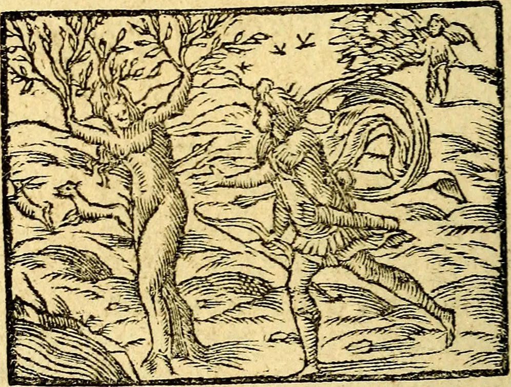 An illustration from Picta poesis : ut pictura poesis erit, 1552, leaf 67
