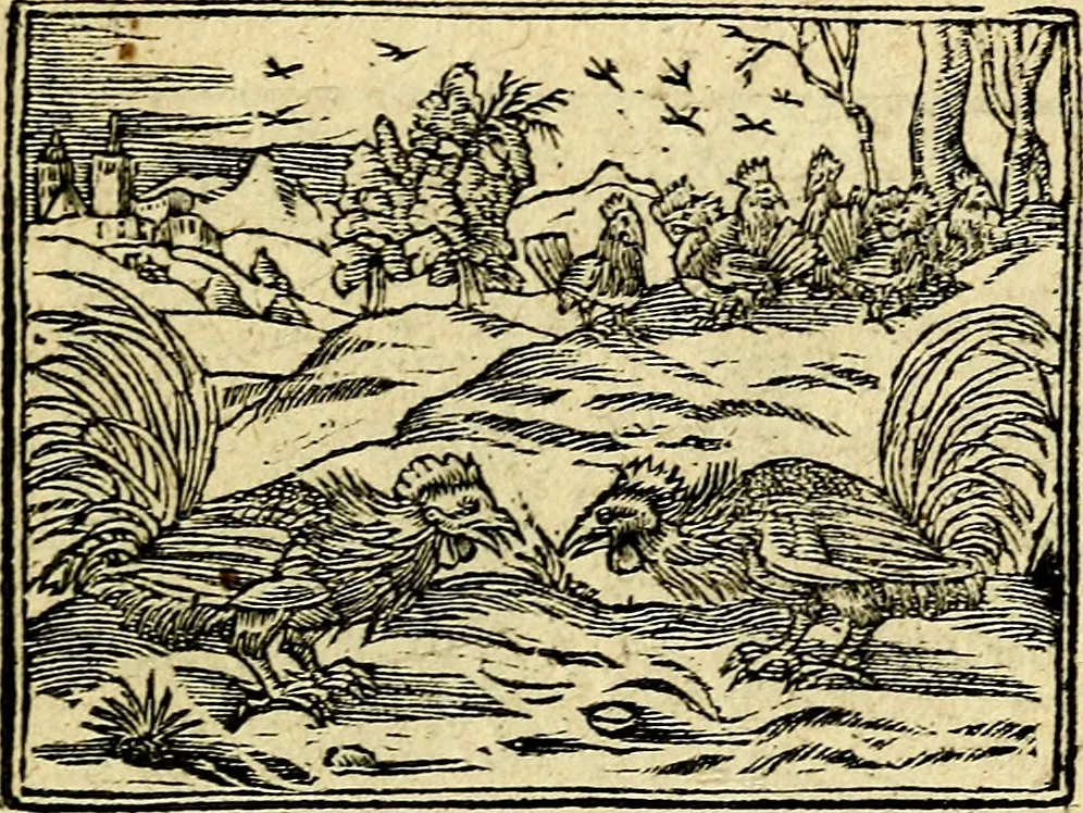 An illustration from Picta poesis : ut pictura poesis erit, 1552, leaf 70