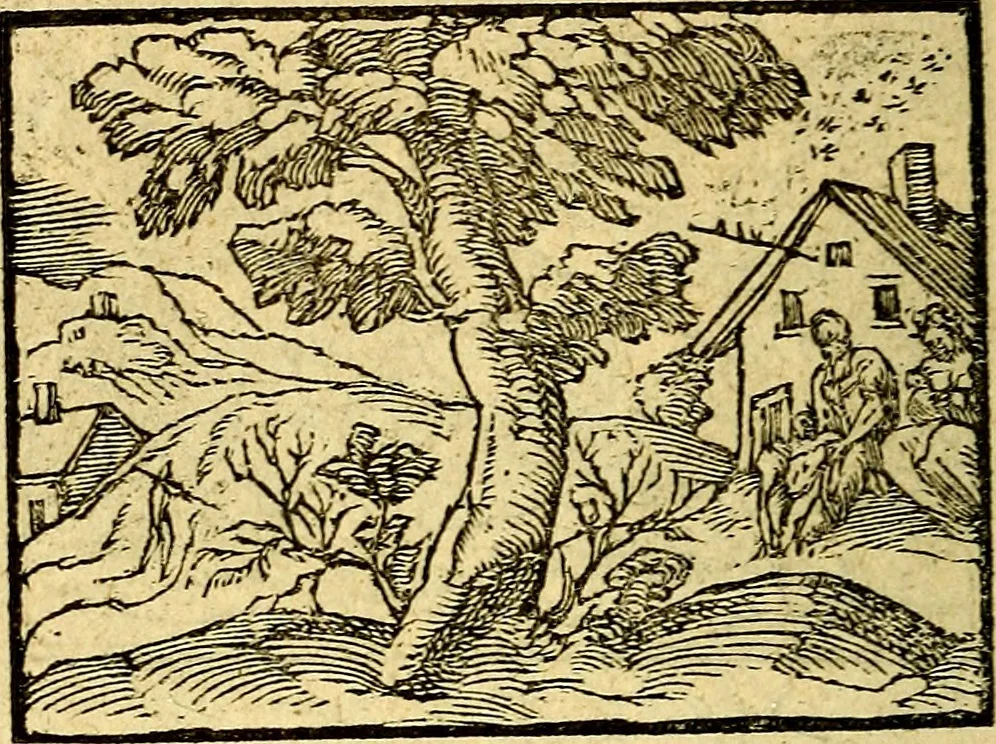 An illustration from Picta poesis : ut pictura poesis erit, 1552, leaf 71