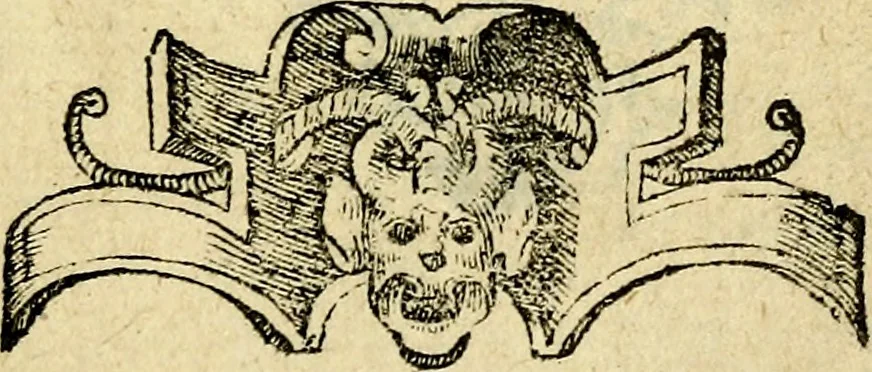 An illustration from Picta poesis : ut pictura poesis erit, 1552, leaf 76
