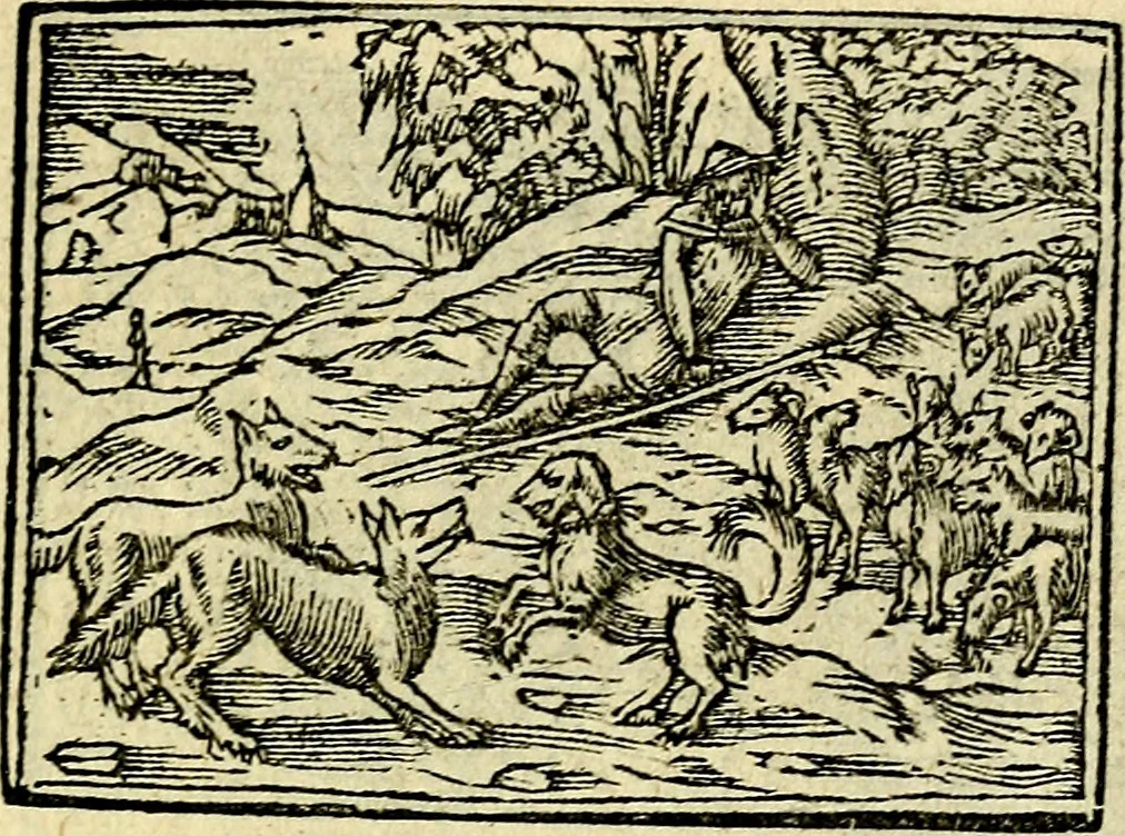 An illustration from Picta poesis : ut pictura poesis erit, 1552, leaf 78