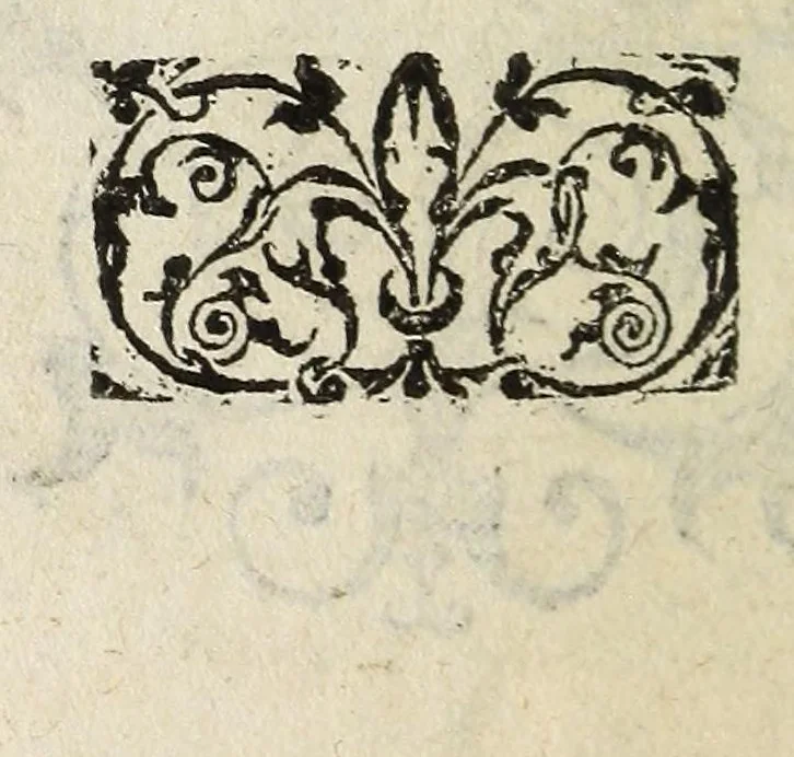 An illustration from Picta poesis : vt pictvra poesis erit, 1552, leaf 116