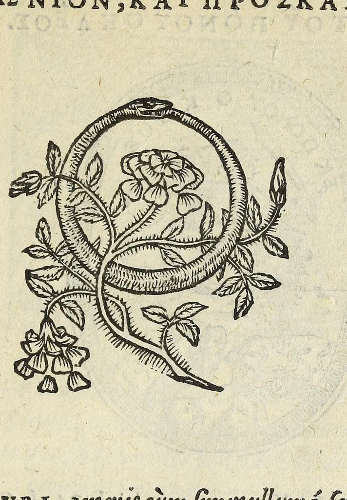 An illustration from Picta poesis : vt pictvra poesis erit, 1552, leaf 21