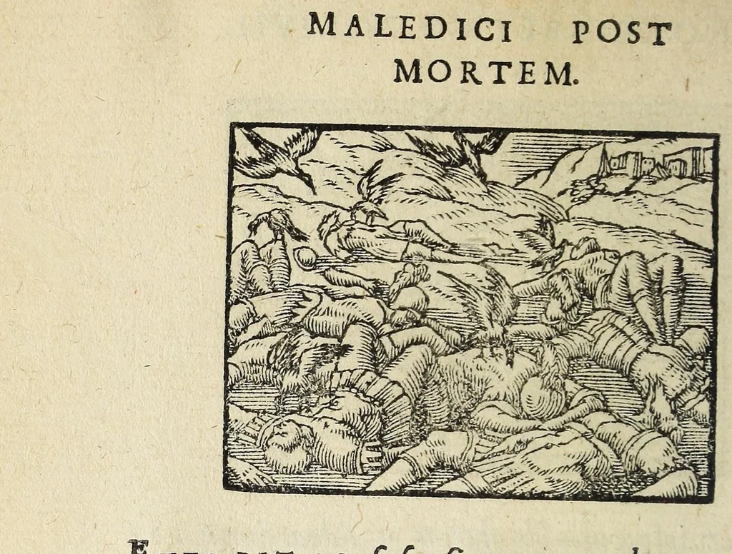 An illustration from Picta poesis : vt pictvra poesis erit, 1552, leaf 64