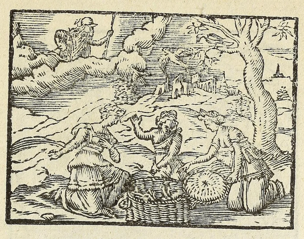 An illustration from Picta poesis : vt pictvra poesis erit, 1552, leaf 99