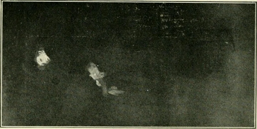 An illustration from Pictorial composition and the critical judgment of pictures; a handbook for students and lovers of art, 1903, leaf 125