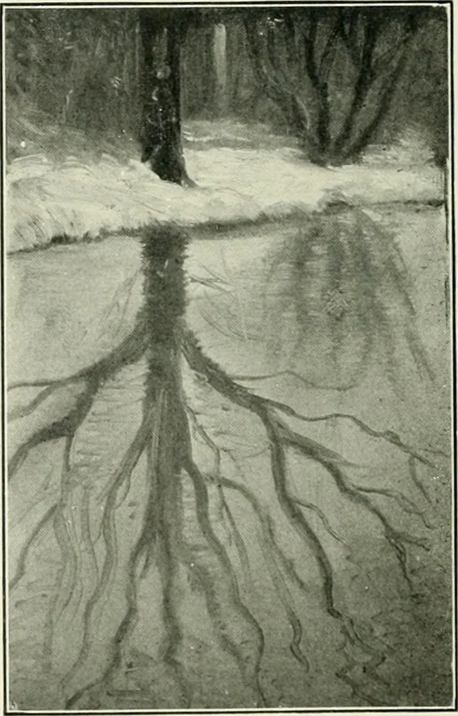 An illustration from Pictorial composition and the critical judgment of pictures; a handbook for students and lovers of art, 1903, leaf 145