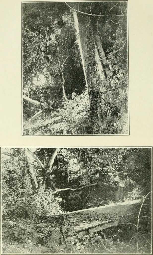 An illustration from Pictorial composition and the critical judgment of pictures; a handbook for students and lovers of art, 1903, leaf 177
