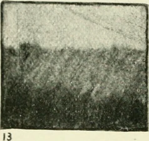 An illustration from Pictorial composition and the critical judgment of pictures; a handbook for students and lovers of art, 1903, leaf 185