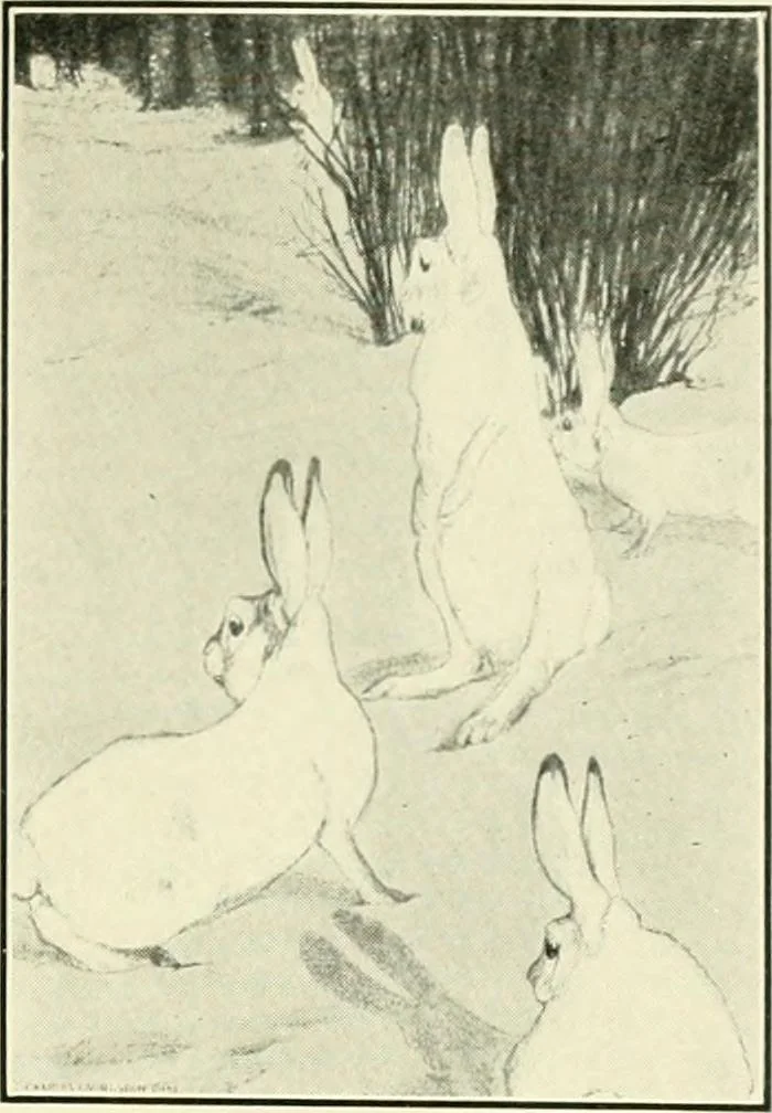 An illustration from Pictorial composition and the critical judgment of pictures; a handbook for students and lovers of art, 1903, leaf 218