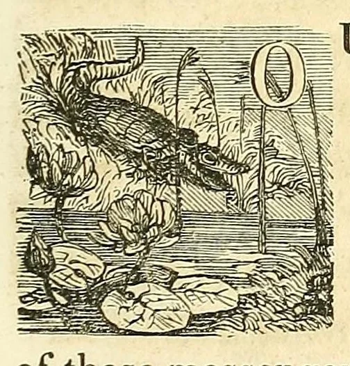 An illustration from Pictorial life of Andrew Jackson, 1847, leaf 275