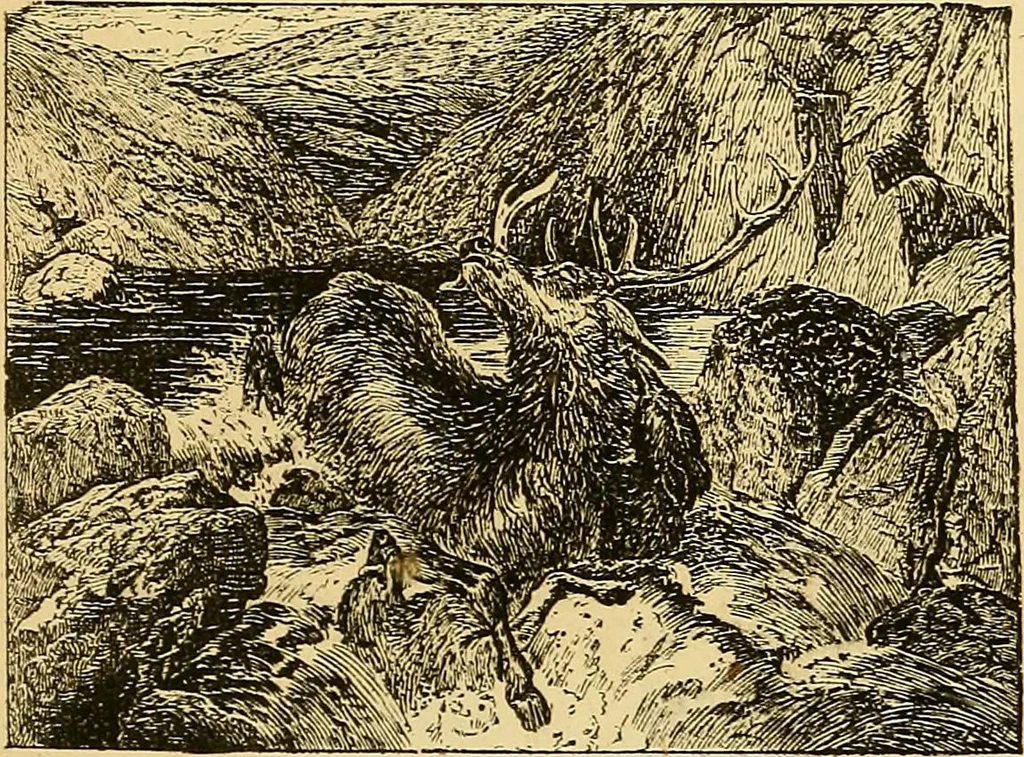 An illustration from Pictorial notes in the National Gallery, 1877, leaf 39