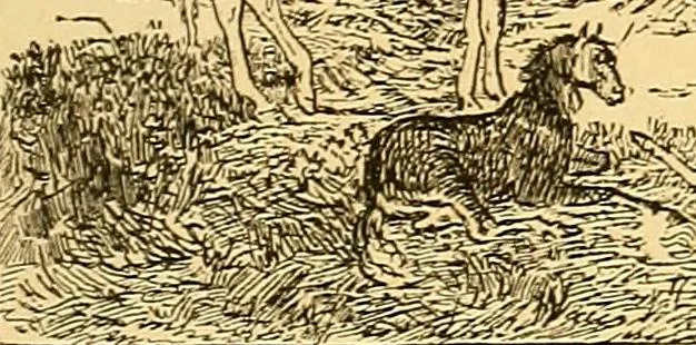 An illustration from Pictorial notes in the National Gallery, 1877, leaf 46