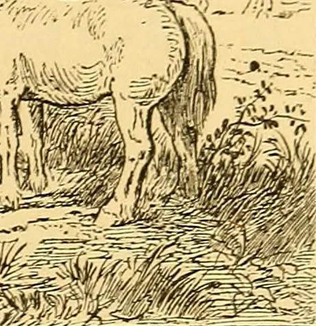 An illustration from Pictorial notes in the National Gallery, 1877, leaf 46