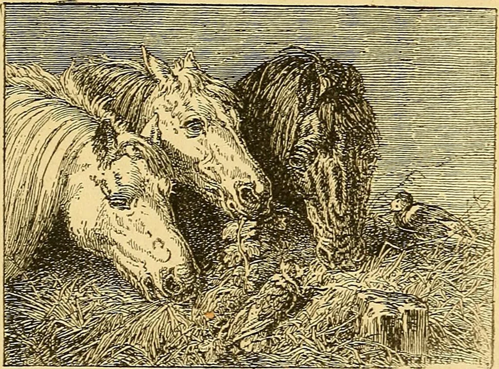 An illustration from Pictorial notes in the National Gallery, 1877, leaf 46