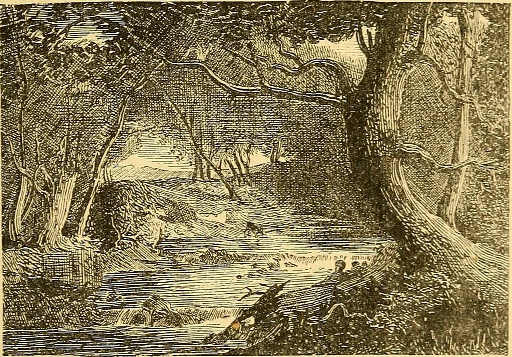 An illustration from Pictorial notes in the National Gallery, 1877, leaf 50