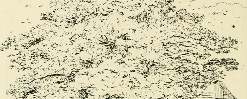 An illustration from The pictorial press: its origin and progress, 1885, leaf 173