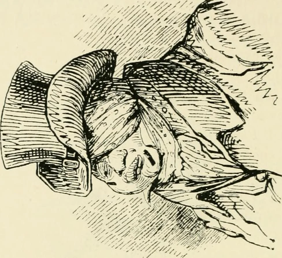 An illustration from The pictorial press: its origin and progress, 1885, leaf 261