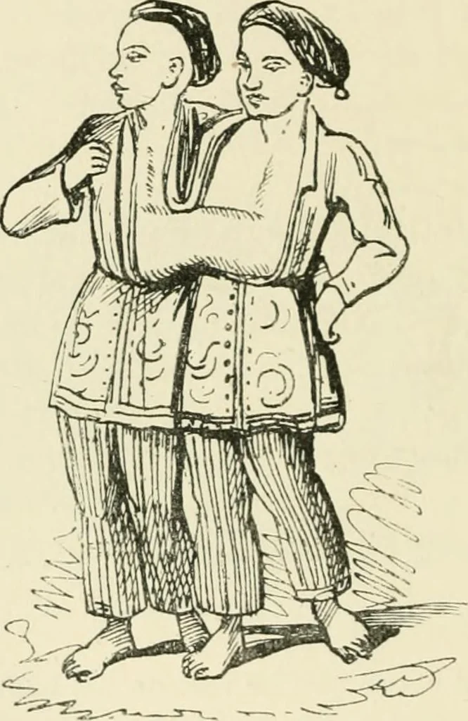 An illustration from The pictorial press: its origin and progress, 1885, leaf 271