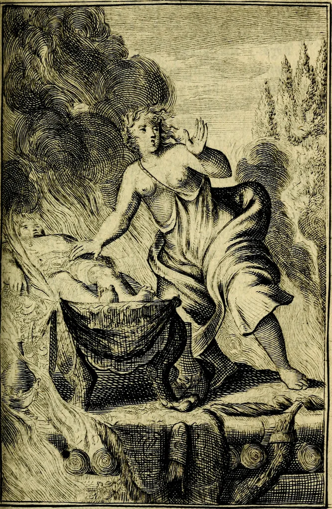 An illustration from Pictura loquens; sive, Heroicarum tabularum Hadriani Schoonebeeck, enarratio et explicatio, 1695, leaf 100