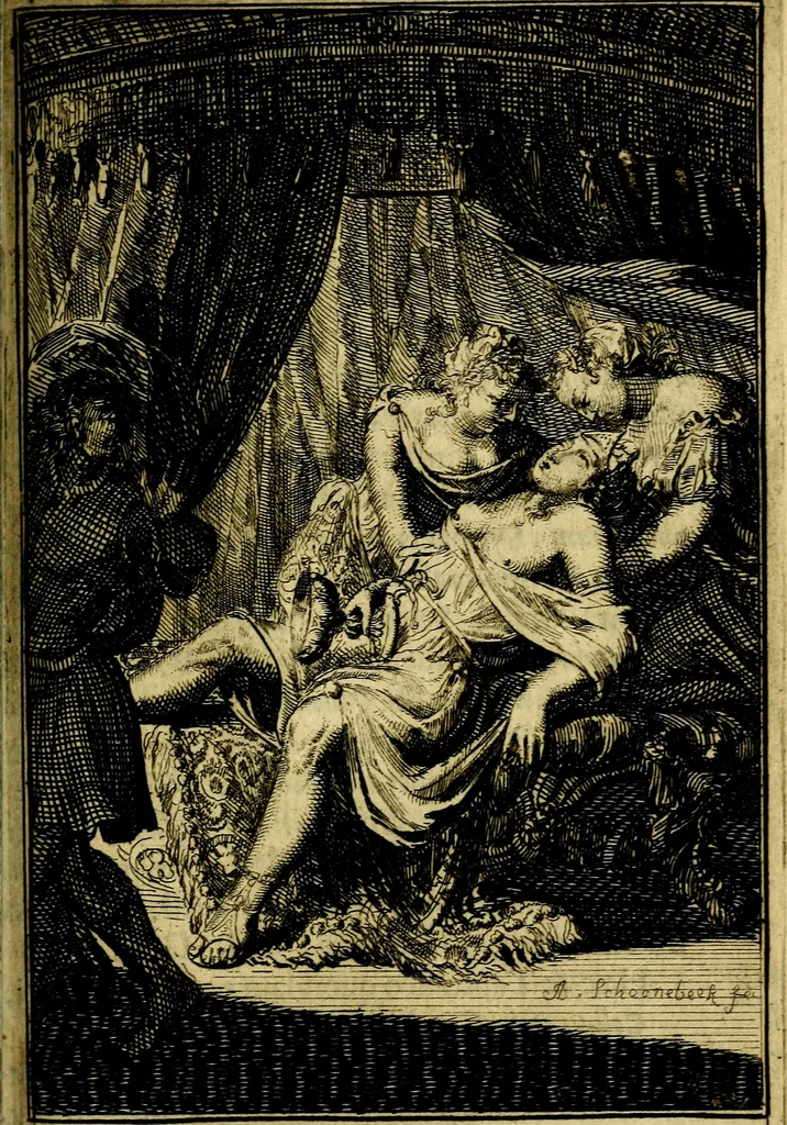 An illustration from Pictura loquens; sive, Heroicarum tabularum Hadriani Schoonebeeck, enarratio et explicatio, 1695, leaf 228