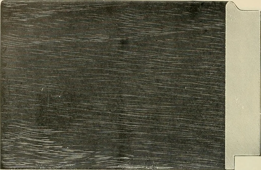 An illustration from Picture frame mouldings, room mouldings, framed pictures, trays, lamps, imported novelties and specialties for the furniture trade, mirrors, picture hardware, fine gold gilding, portrait frames, artist materials and mat boards / Walter L. Lillie., 1913, leaf 21