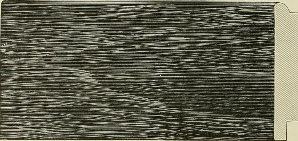 An illustration from Picture frame mouldings, room mouldings, framed pictures, trays, lamps, imported novelties and specialties for the furniture trade, mirrors, picture hardware, fine gold gilding, portrait frames, artist materials and mat boards / Walter L. Lillie., 1913, leaf 21