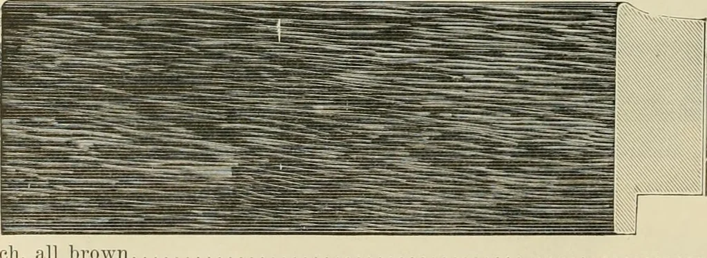 An illustration from Picture frame mouldings, room mouldings, framed pictures, trays, lamps, imported novelties and specialties for the furniture trade, mirrors, picture hardware, fine gold gilding, portrait frames, artist materials and mat boards / Walter L. Lillie., 1913, leaf 21