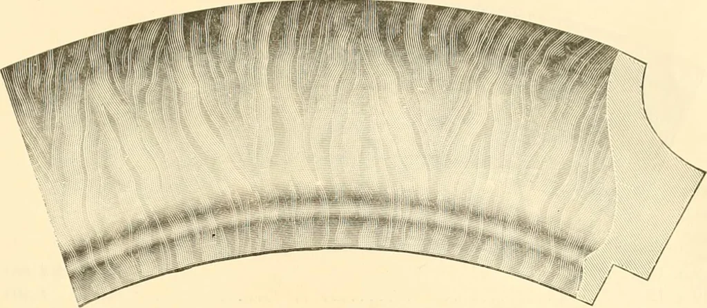 An illustration from Picture frame mouldings, room mouldings, framed pictures, trays, lamps, imported novelties and specialties for the furniture trade, mirrors, picture hardware, fine gold gilding, portrait frames, artist materials and mat boards / Walter L. Lillie., 1913, leaf 90