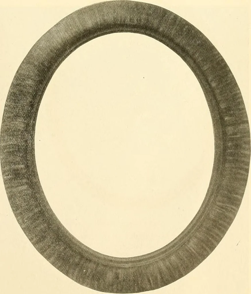 An illustration from Picture frame mouldings, room mouldings, framed pictures, trays, lamps, imported novelties and specialties for the furniture trade, mirrors, picture hardware, fine gold gilding, portrait frames, artist materials and mat boards / Walter L. Lillie., 1913, leaf 96