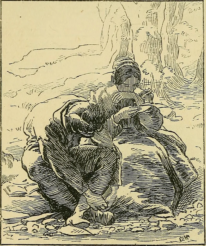 An illustration from Pictures at South Kensington : the Raphael cartoons, the Sheepshanks collection, &c., 1877, leaf 55