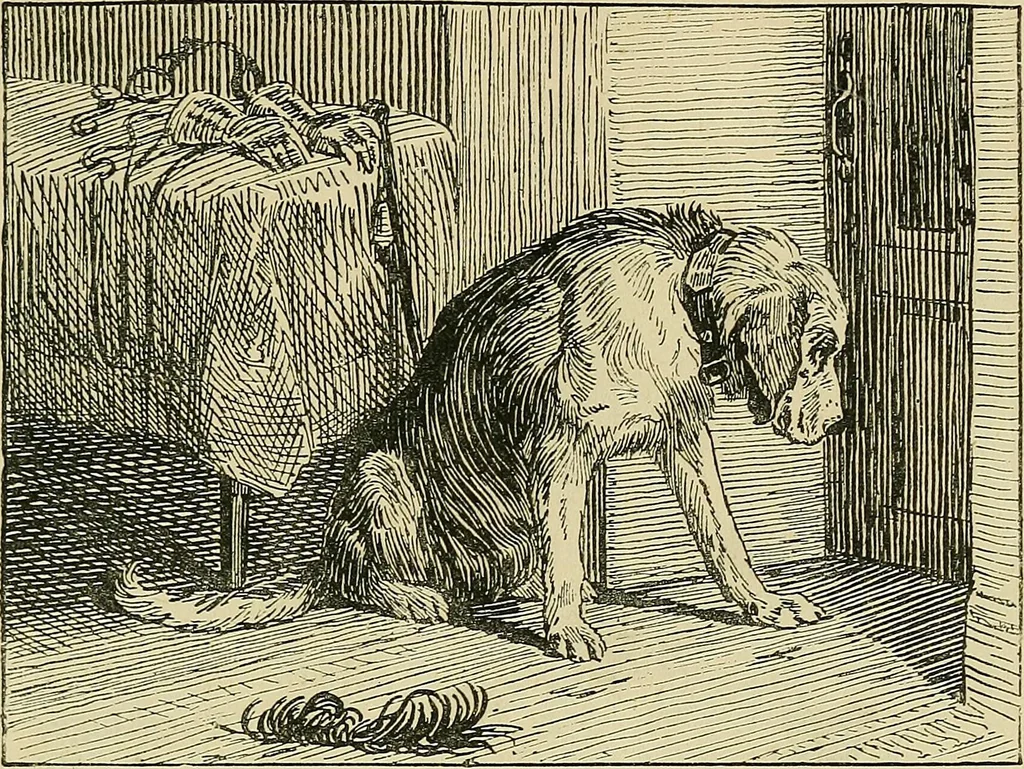 An illustration from Pictures at South Kensington : the Raphael cartoons, the Sheepshanks collection, &c., 1877, leaf 64